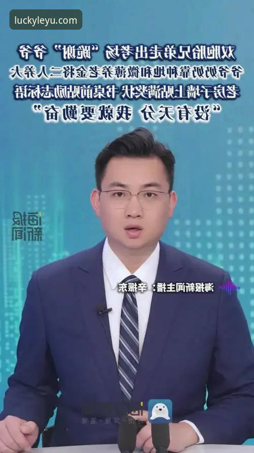 乐鱼官网是真的吗？深度揭秘“官方唯一推荐”背后的真相